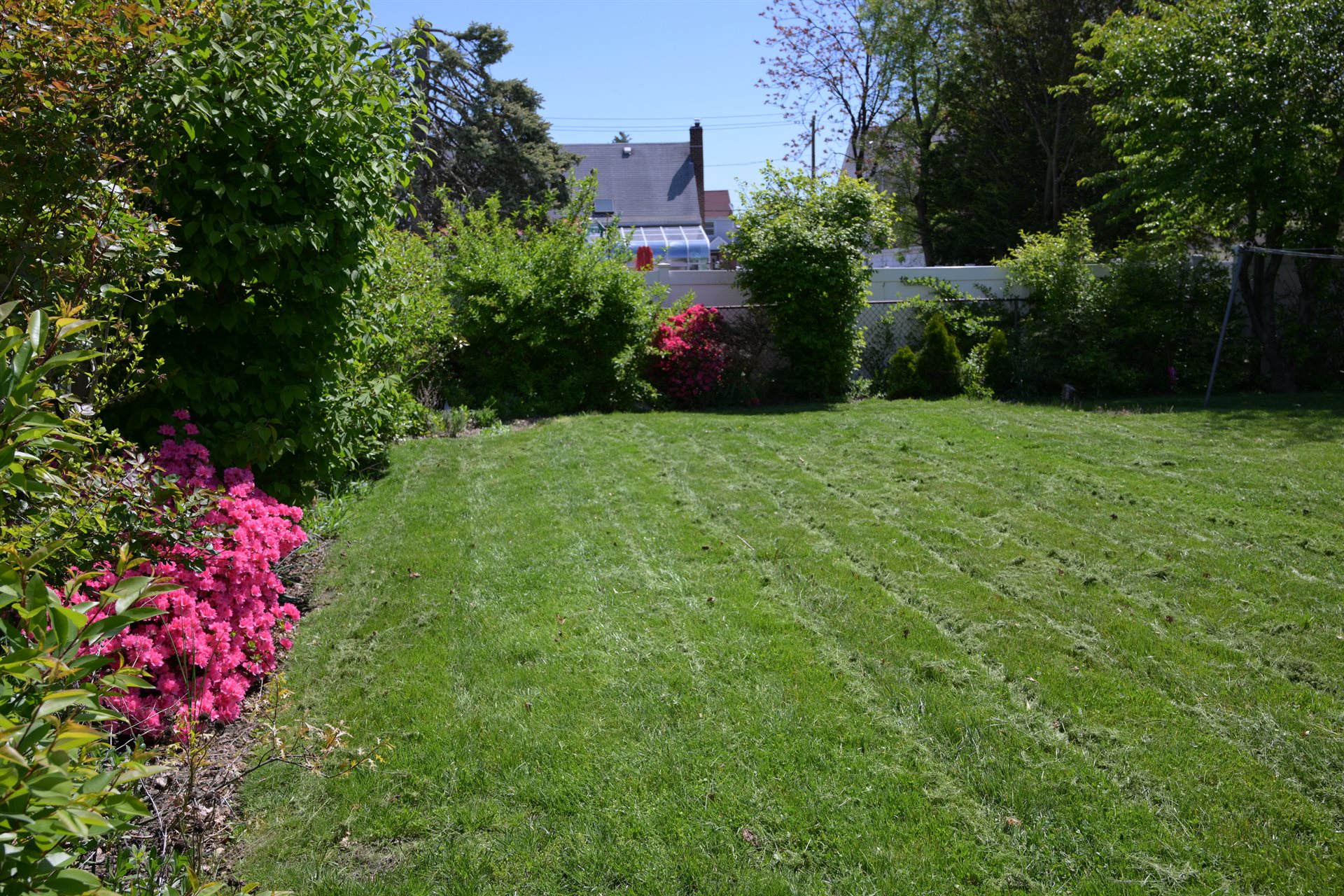 Same backyard freshly mowed with clean lines and visible mowing pattern